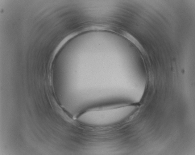 X0000075841436200610061836