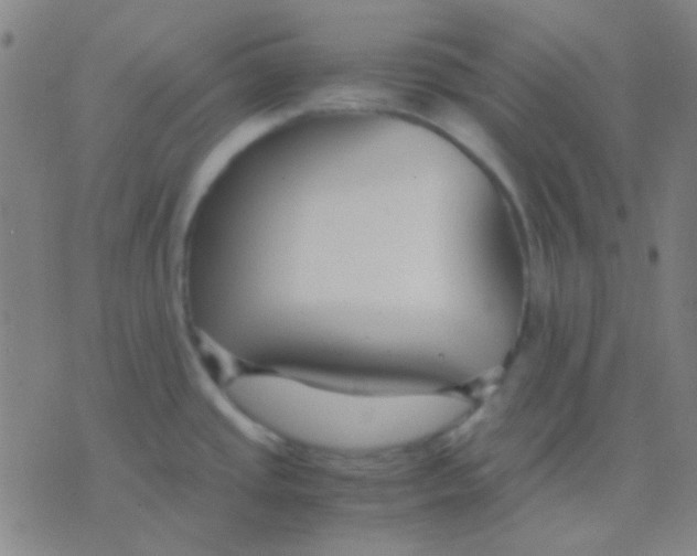 X0000075841437200610061836