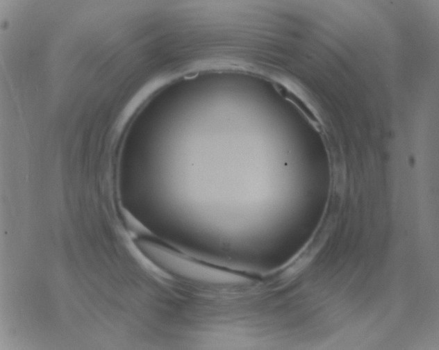 X0000075841438200610061836