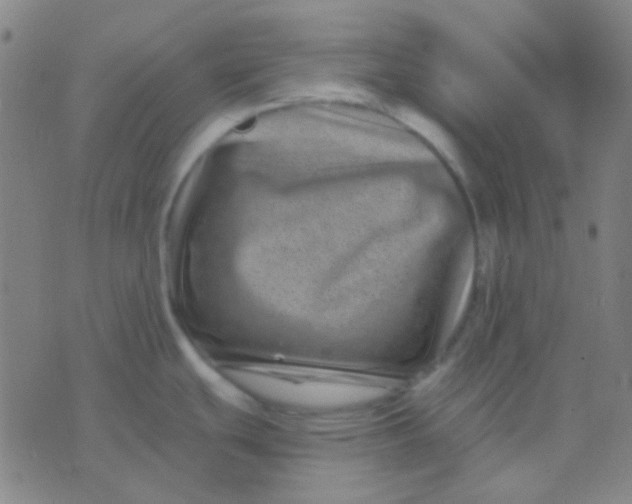 X0000075841439200610061836