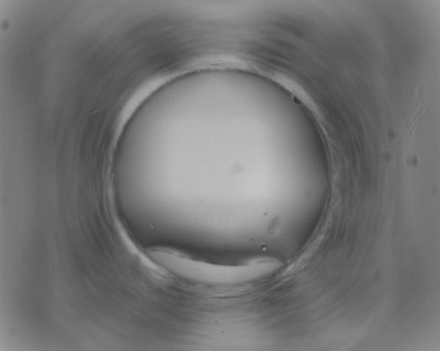 X0000075841440200610061836