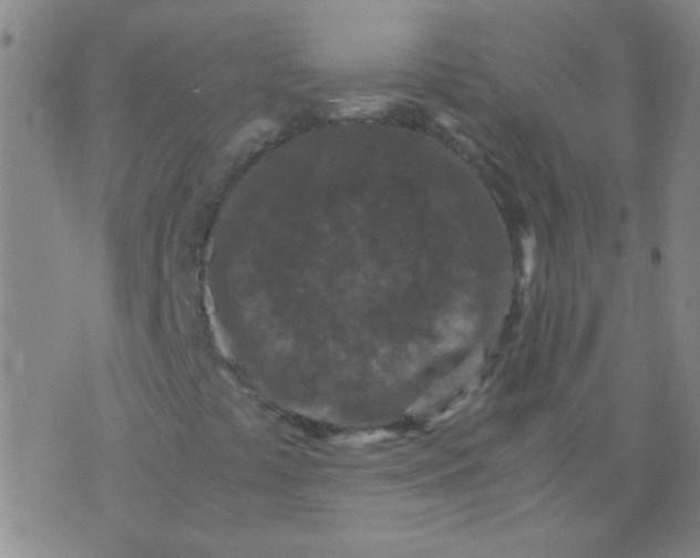 X0000075841441200610061835