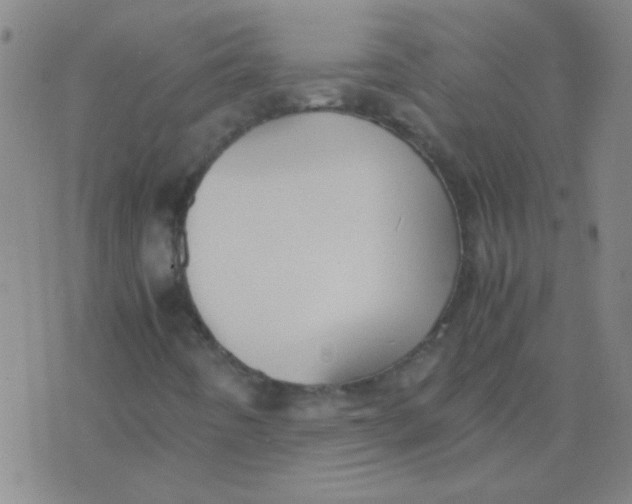 X0000075841442200610061835