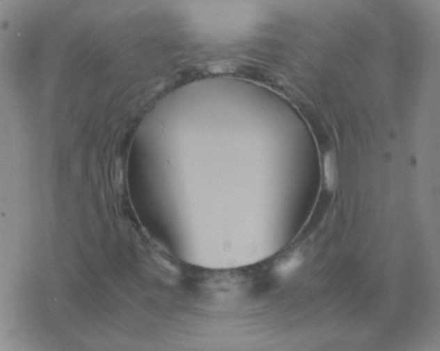 X0000075841443200610061835