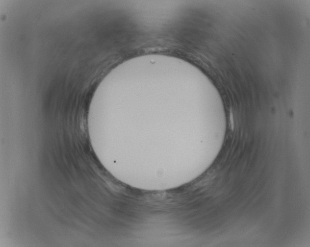 X0000075841444200610061835