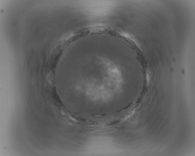 X0000075841445200610061835