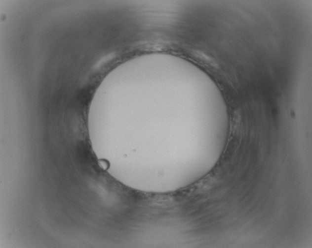 X0000075841446200610061835