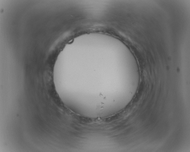 X0000075841447200610061835