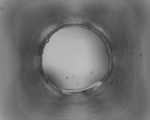 X0000075841448200610061835