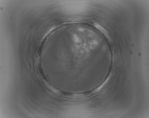 X0000075841449200610061835