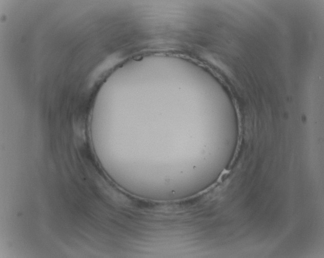 X0000075841451200610061835