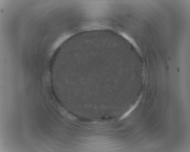 X0000075841453200610061835