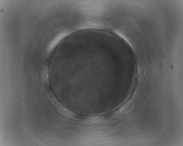 X0000075841455200610061835