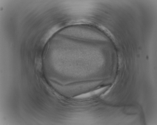 X0000075841457200610061835