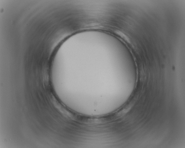 X0000075841458200610061835