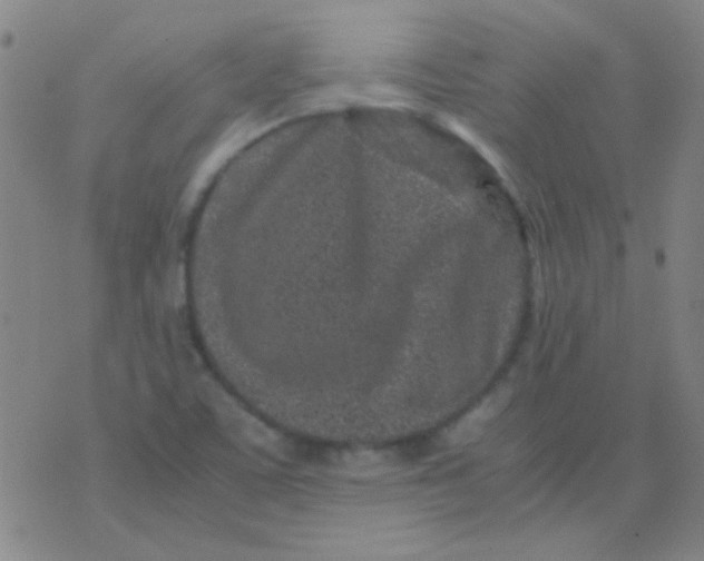 X0000075841459200610061835