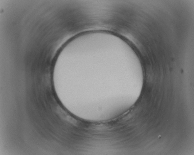 X0000075841460200610061835