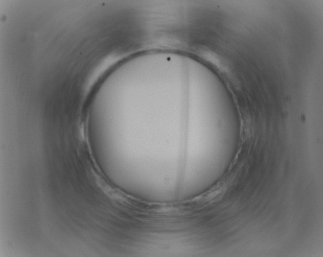 X0000075841462200610061835