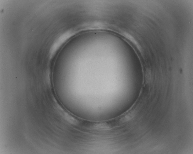 X0000075841464200610061835