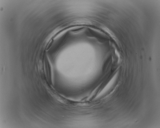 X0000075841465200610061835