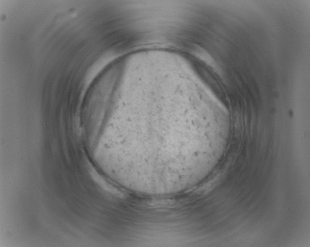 X0000075841466200610061835