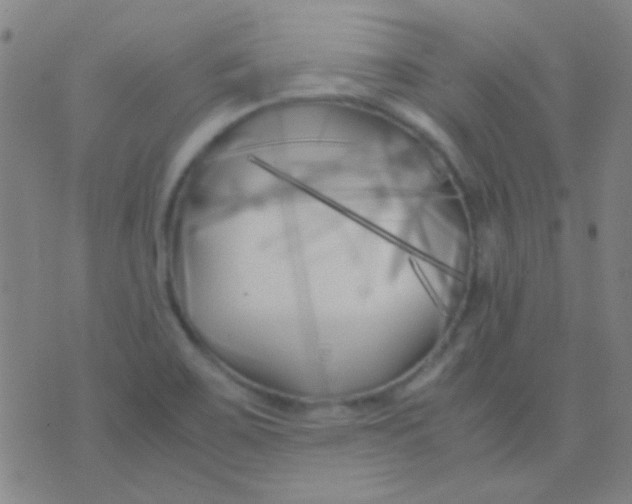 X0000075841467200610061835