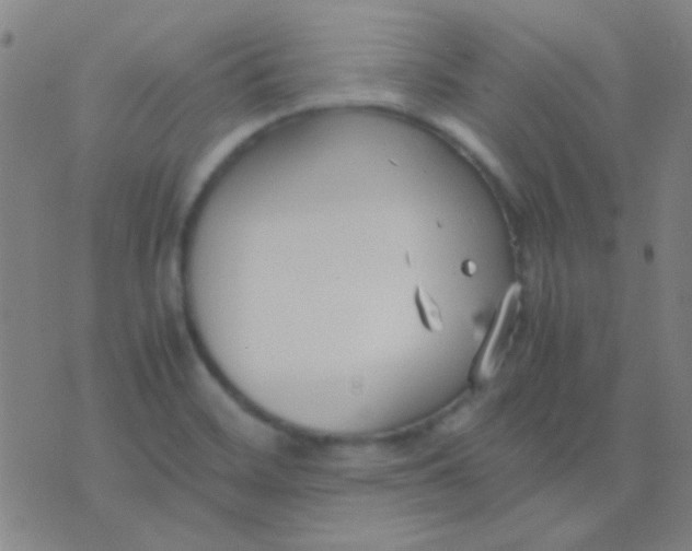 X0000075841468200610061835