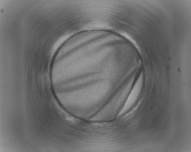 X0000075841469200610061835