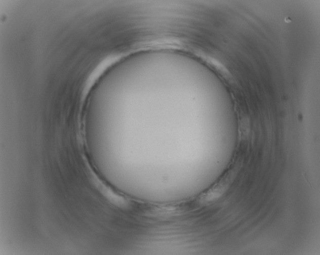 X0000075841470200610061835