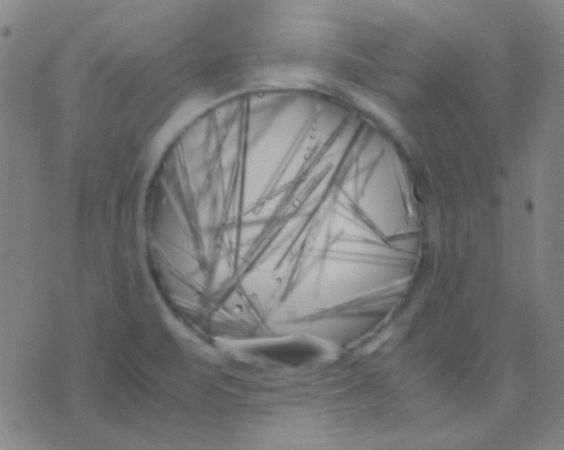 X0000075841471200610061835