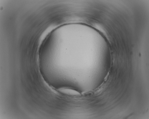 X0000075841472200610061835