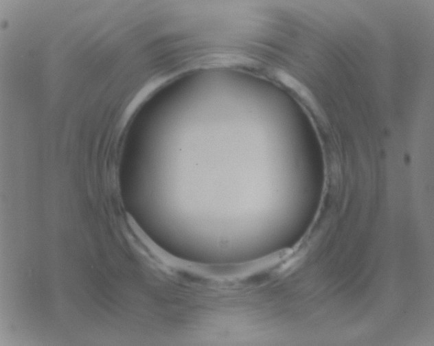 X0000075841473200610061835