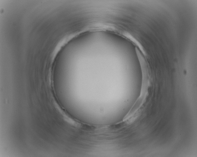 X0000075841477200610061835