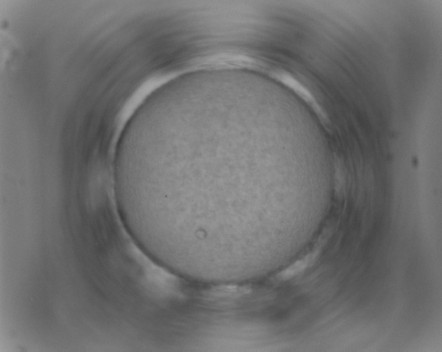 X0000075841478200610061835