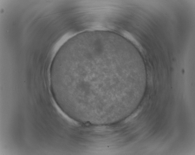 X0000075841479200610061835