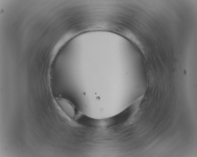 X0000075841480200610061835