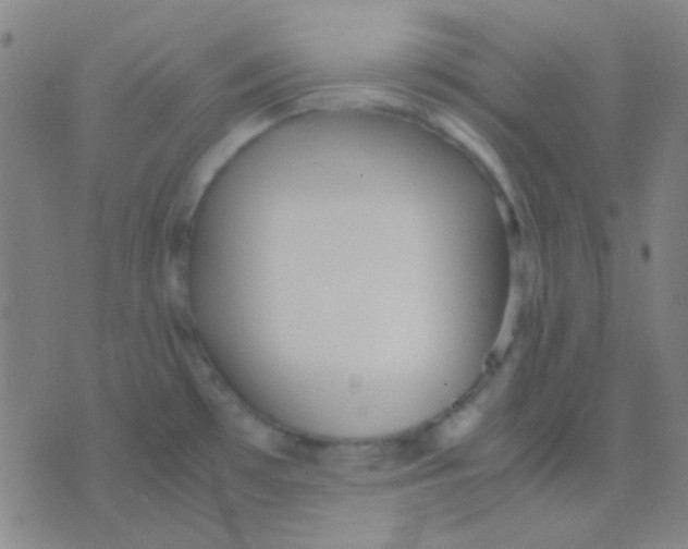 X0000075841481200610061835