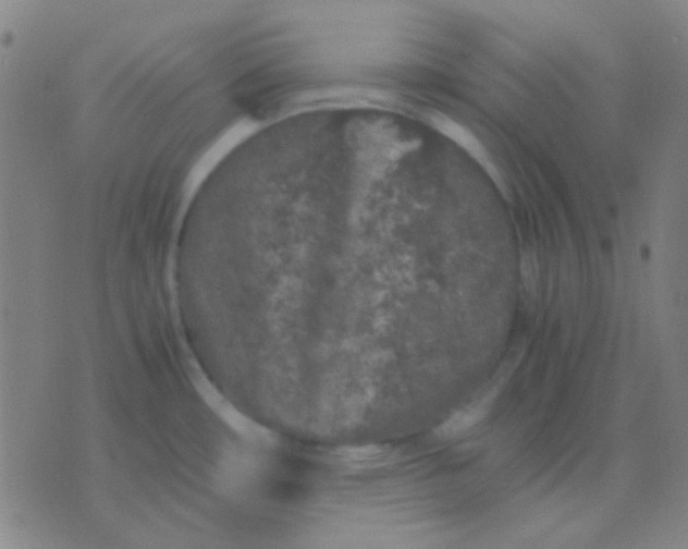 X0000075841482200610061835