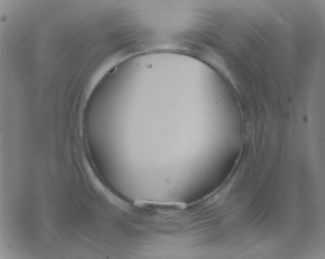 X0000075841483200610061835