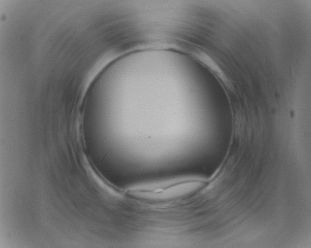 X0000075841484200610061835