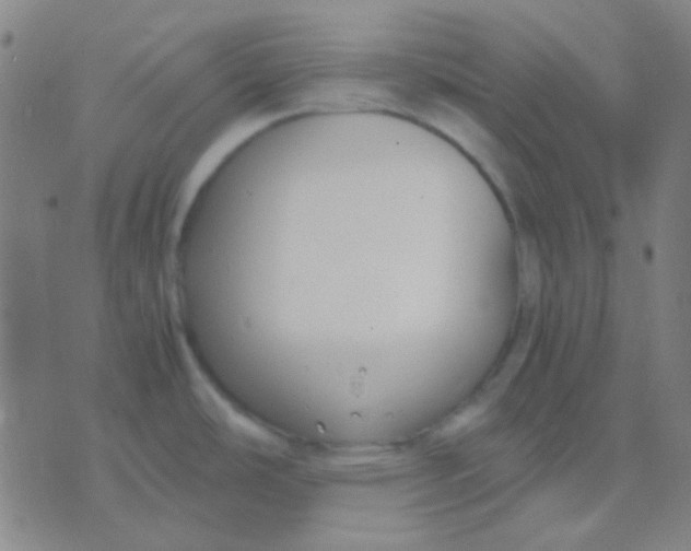 X0000075841486200610061834