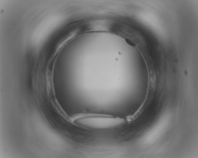 X0000075841487200610061834