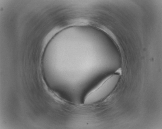 X0000075841488200610061834