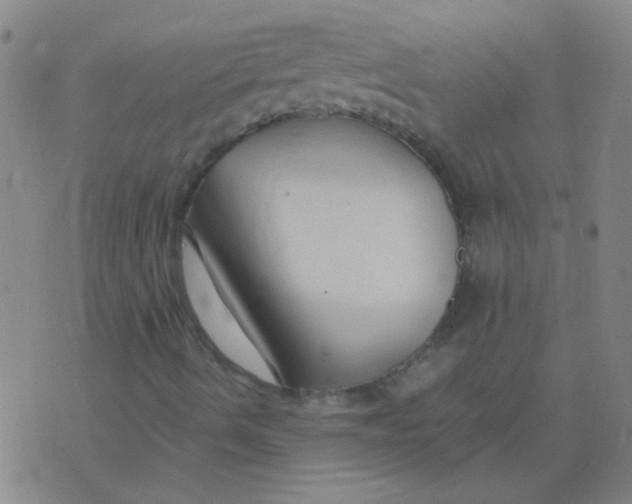 X0000075841490200610061834