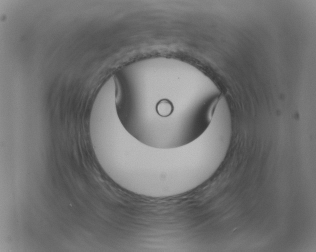 X0000075841492200610061834