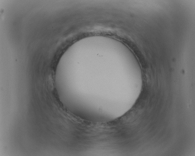 X0000075841493200610061834