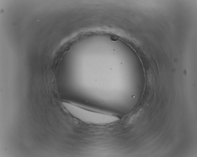 X0000075841494200610061834