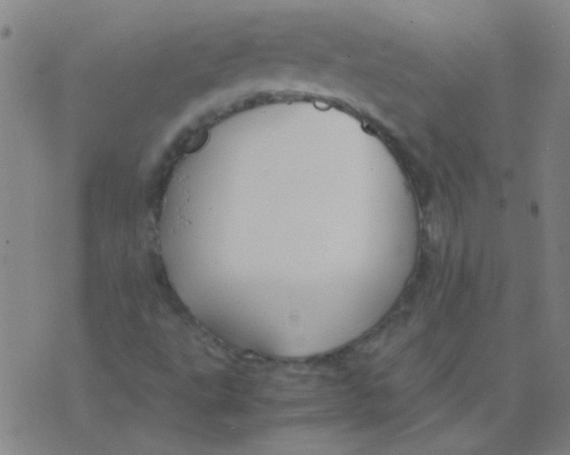 X0000075841495200610061834