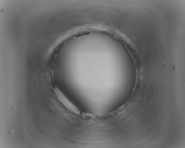 X0000075841496200610061834