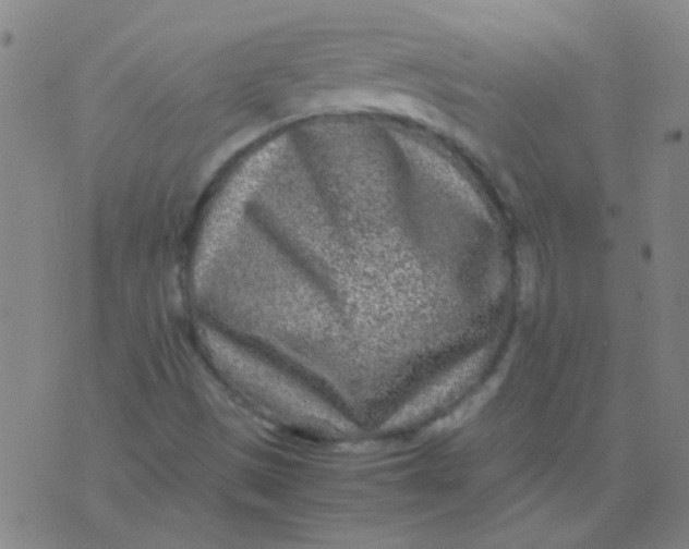 X0000075841497200610061834